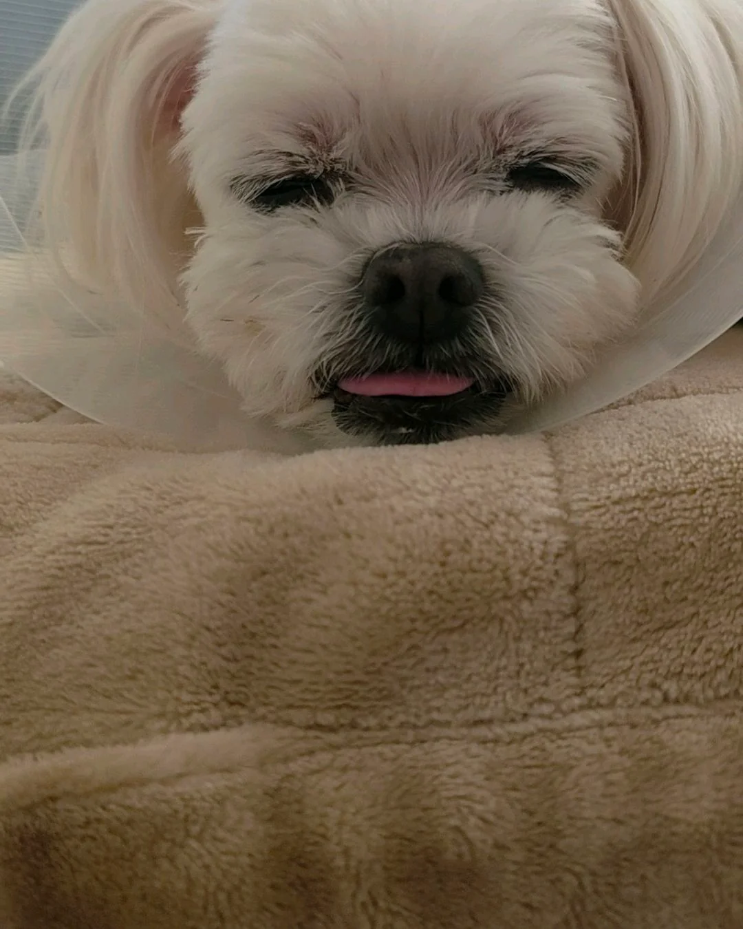 리뷰 사진 3