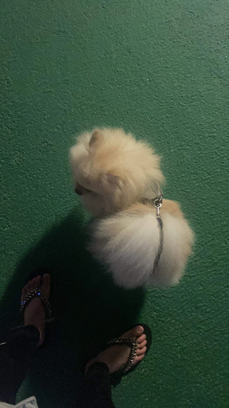 리뷰 사진 1