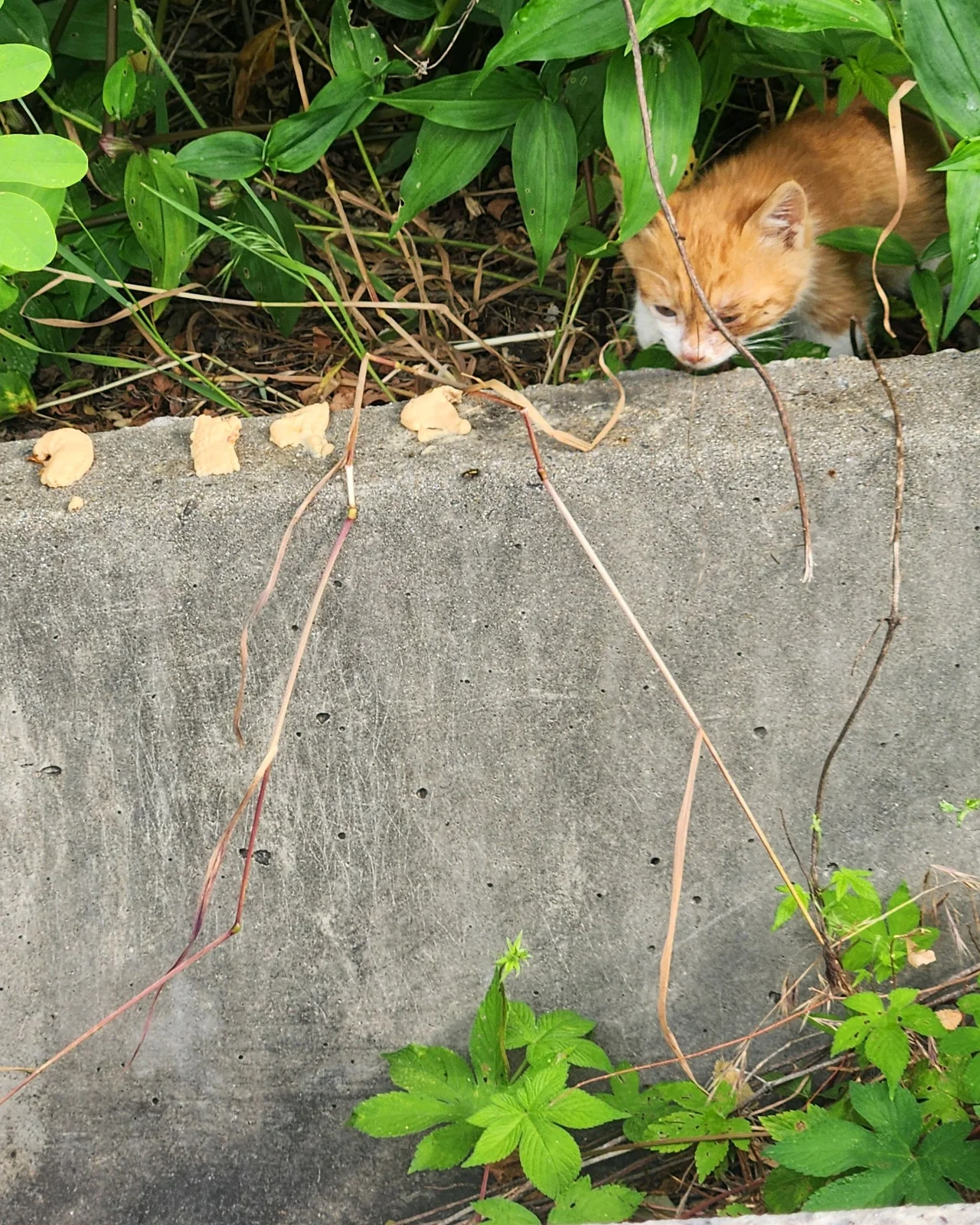 리뷰 사진 1
