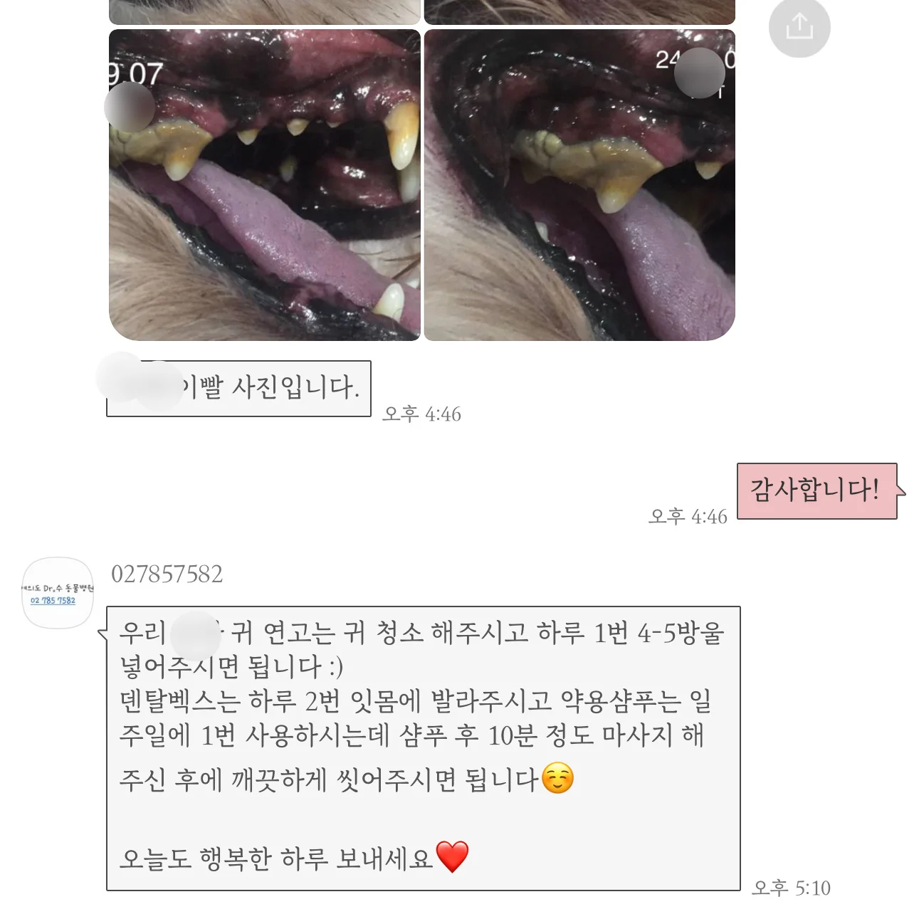 리뷰 사진 1