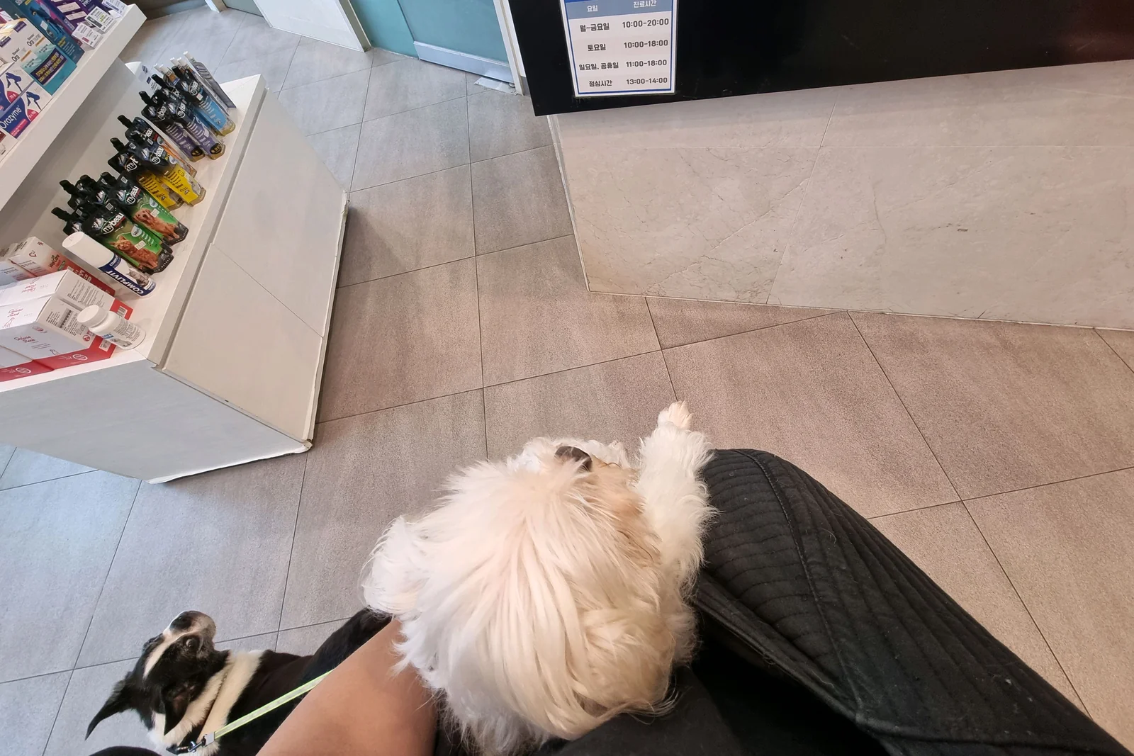 리뷰 사진 1