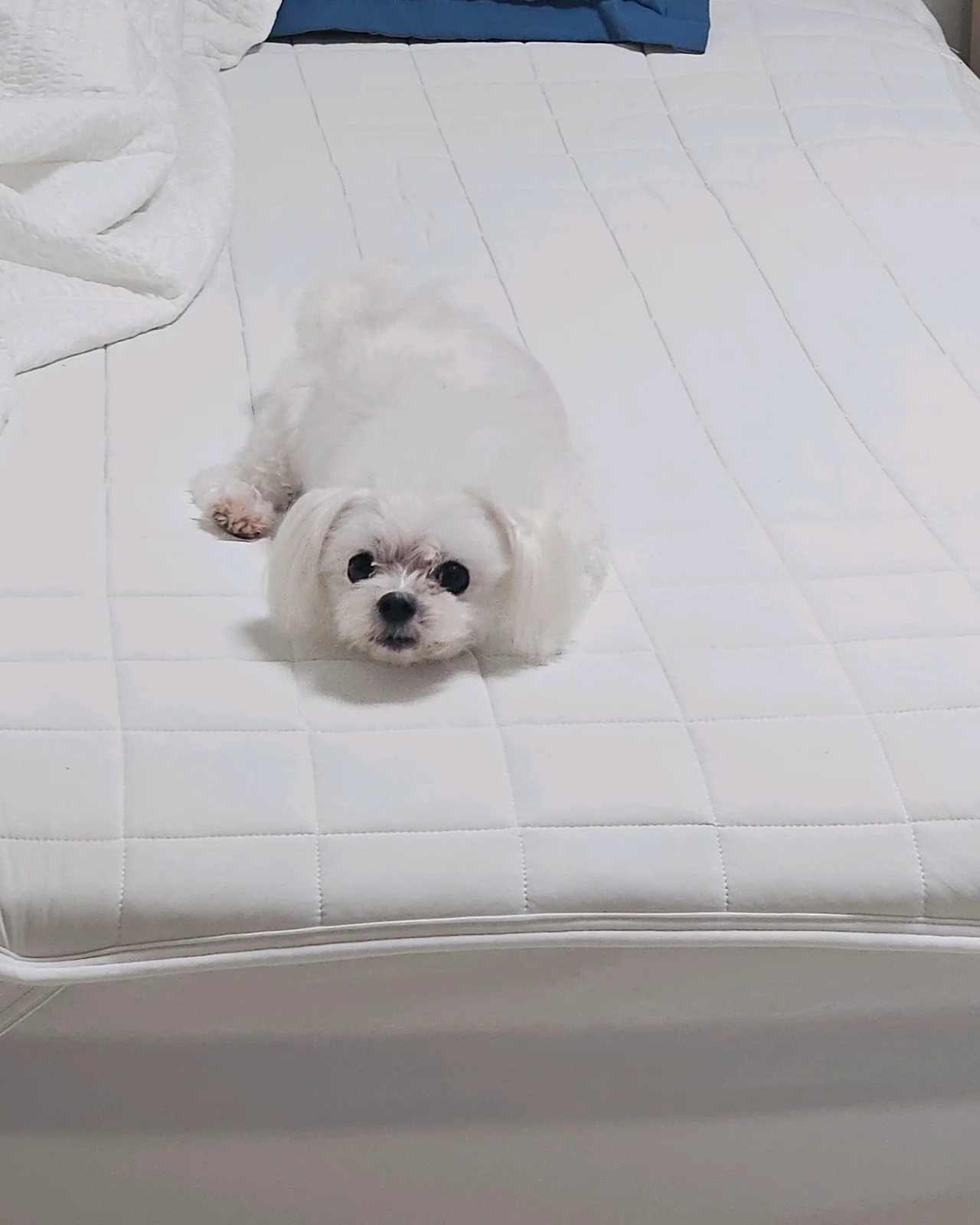 리뷰 사진 1