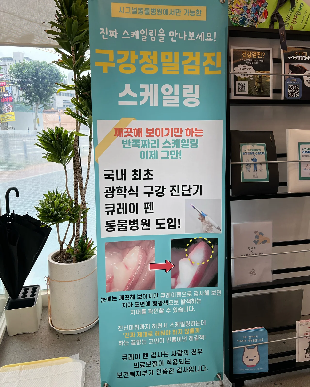 리뷰 사진 1