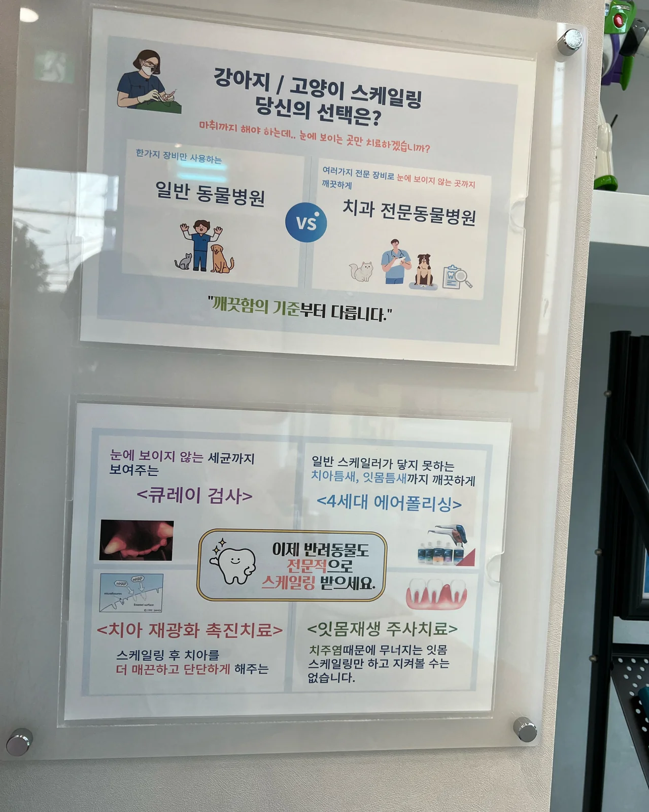 리뷰 사진 3