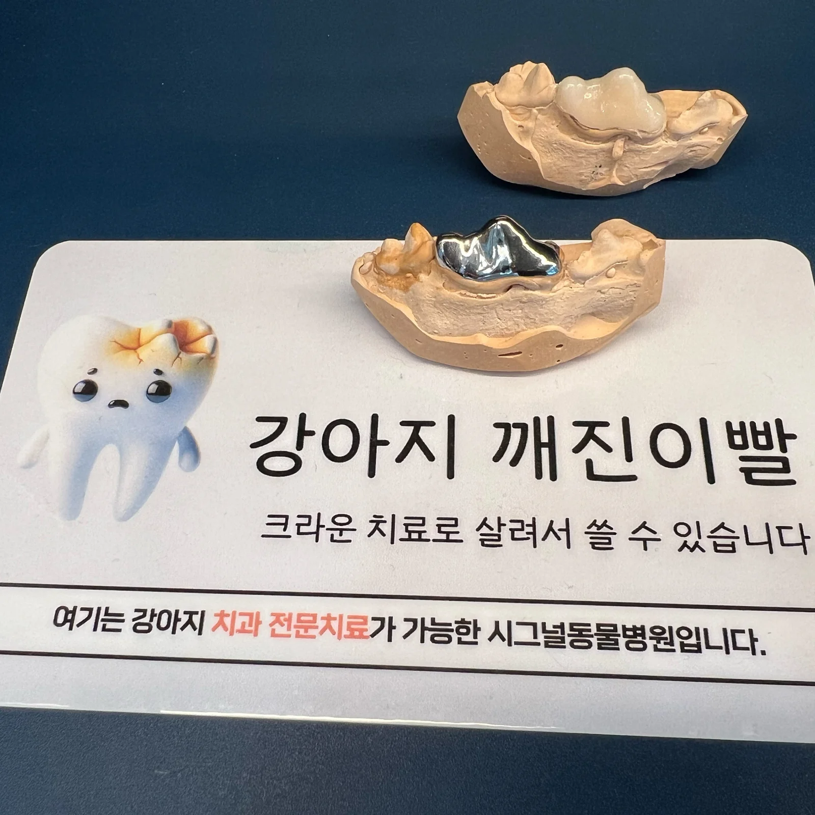 리뷰 사진 5
