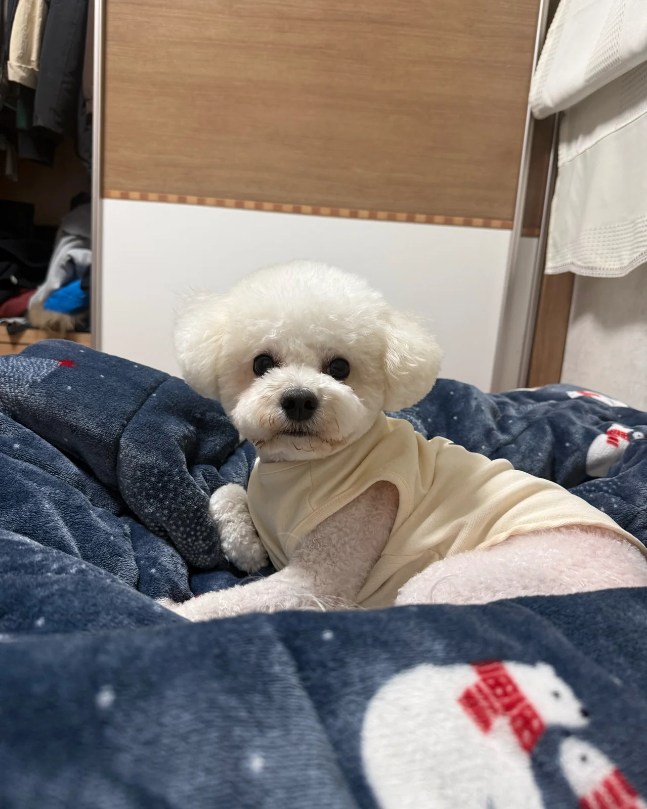 리뷰 사진 1
