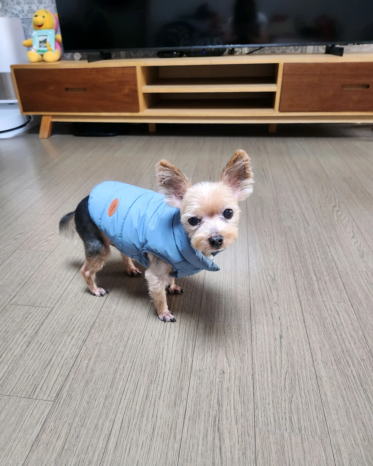 리뷰 사진 1