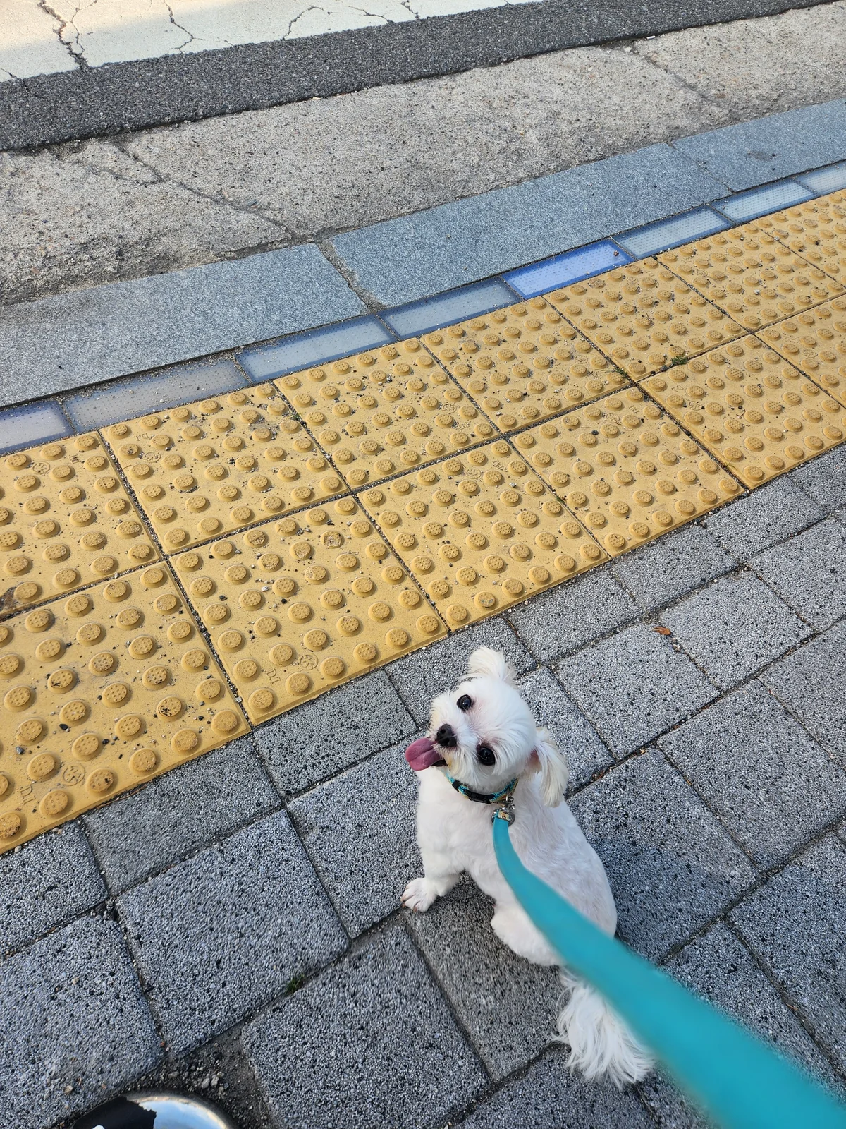 리뷰 사진 1