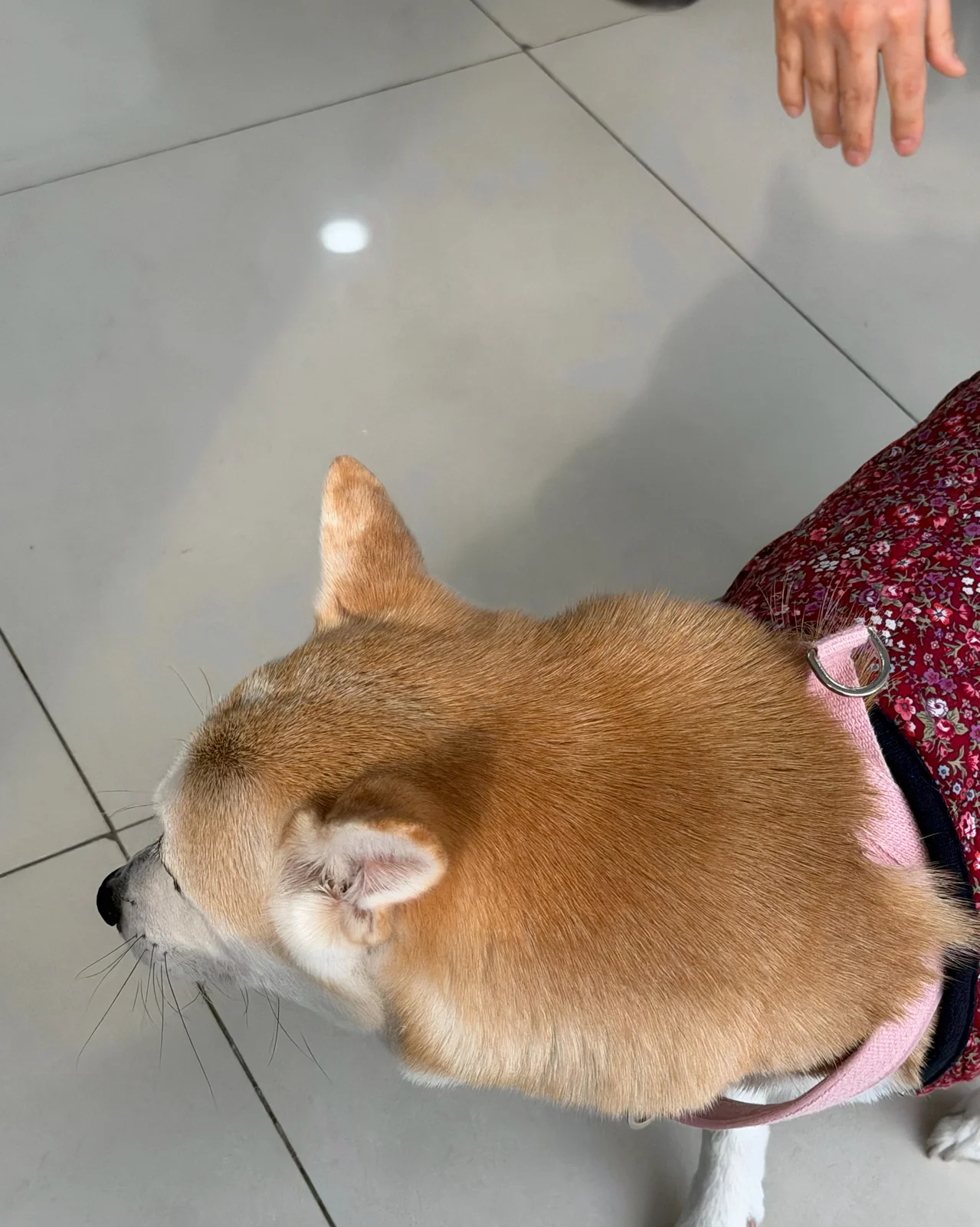 리뷰 사진 1
