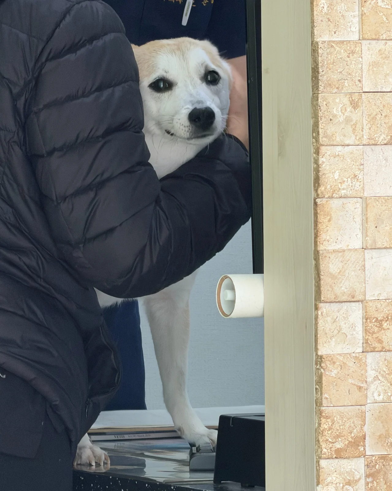 리뷰 사진 2