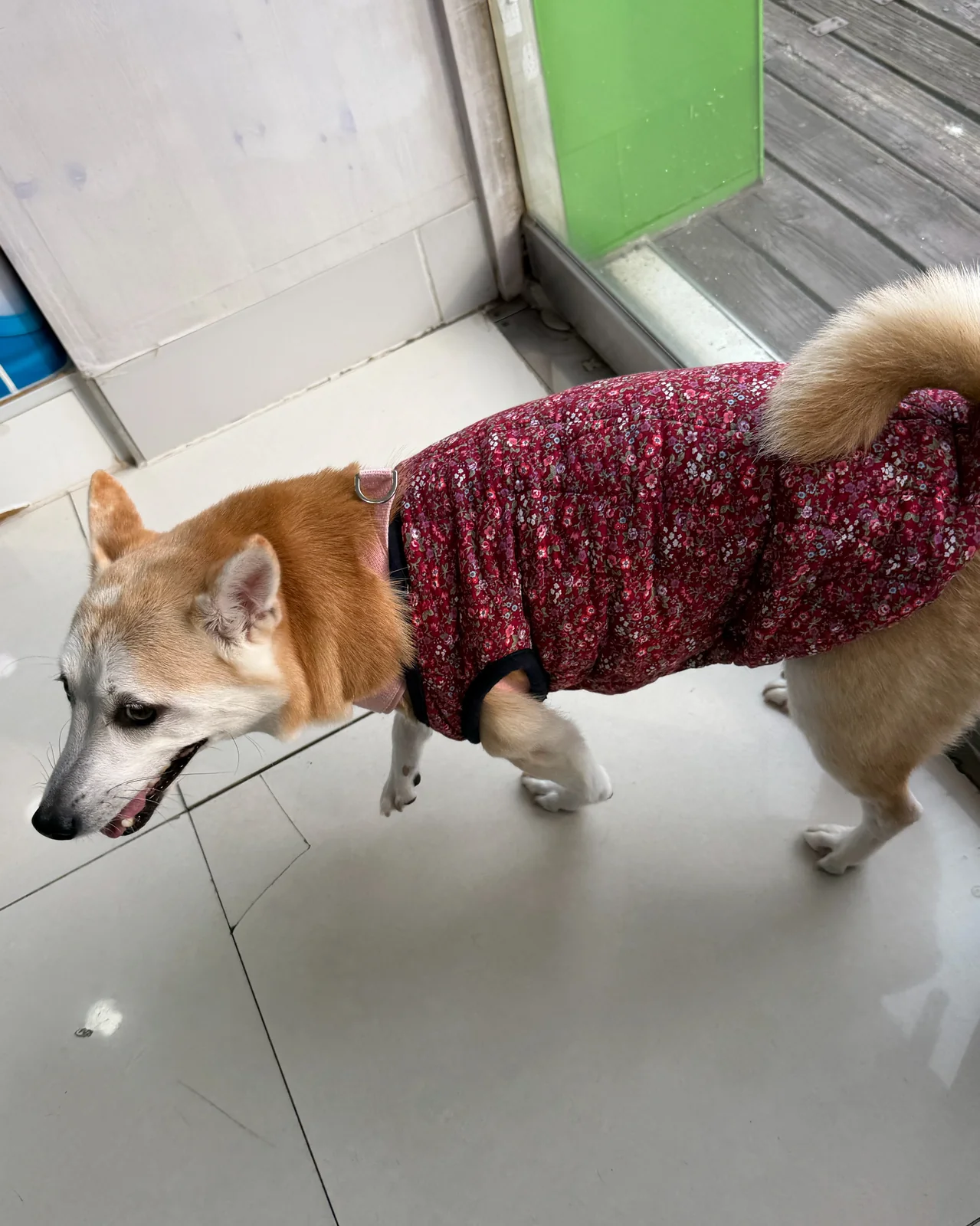 리뷰 사진 3