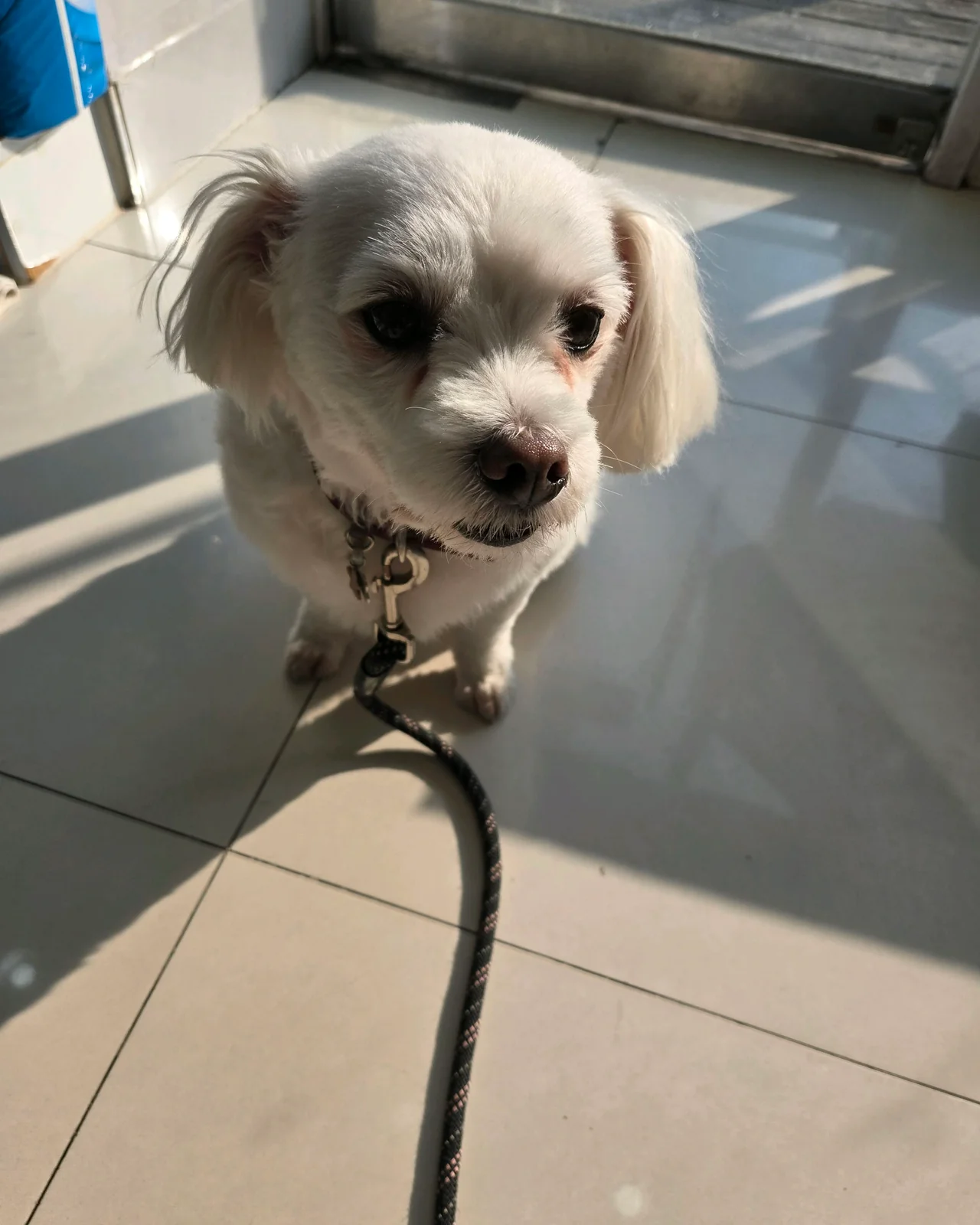 리뷰 사진 1