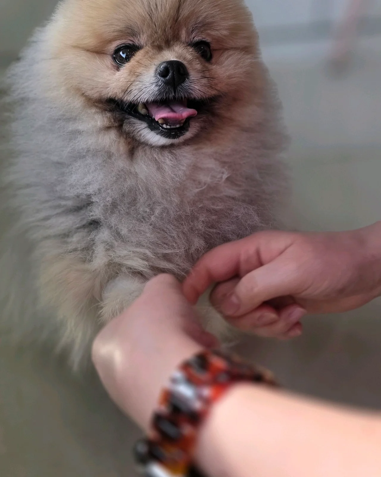 리뷰 사진 2