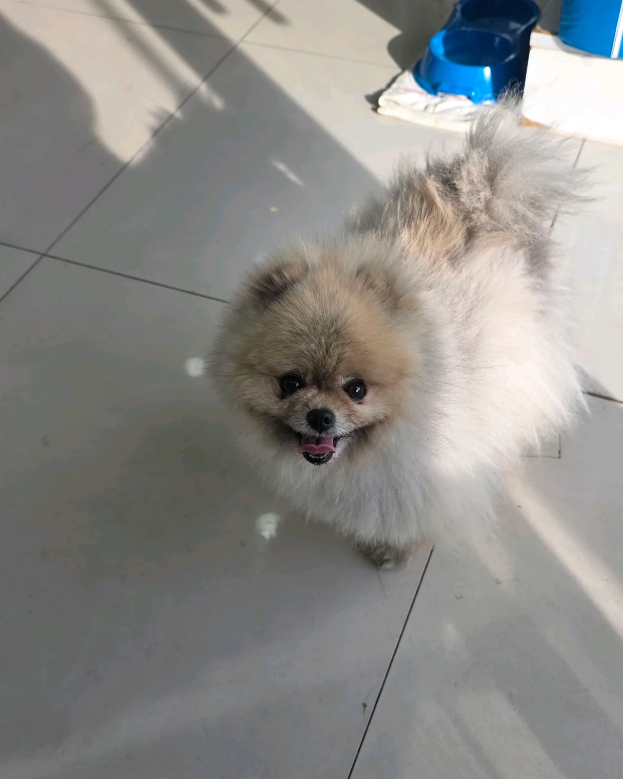 리뷰 사진 3