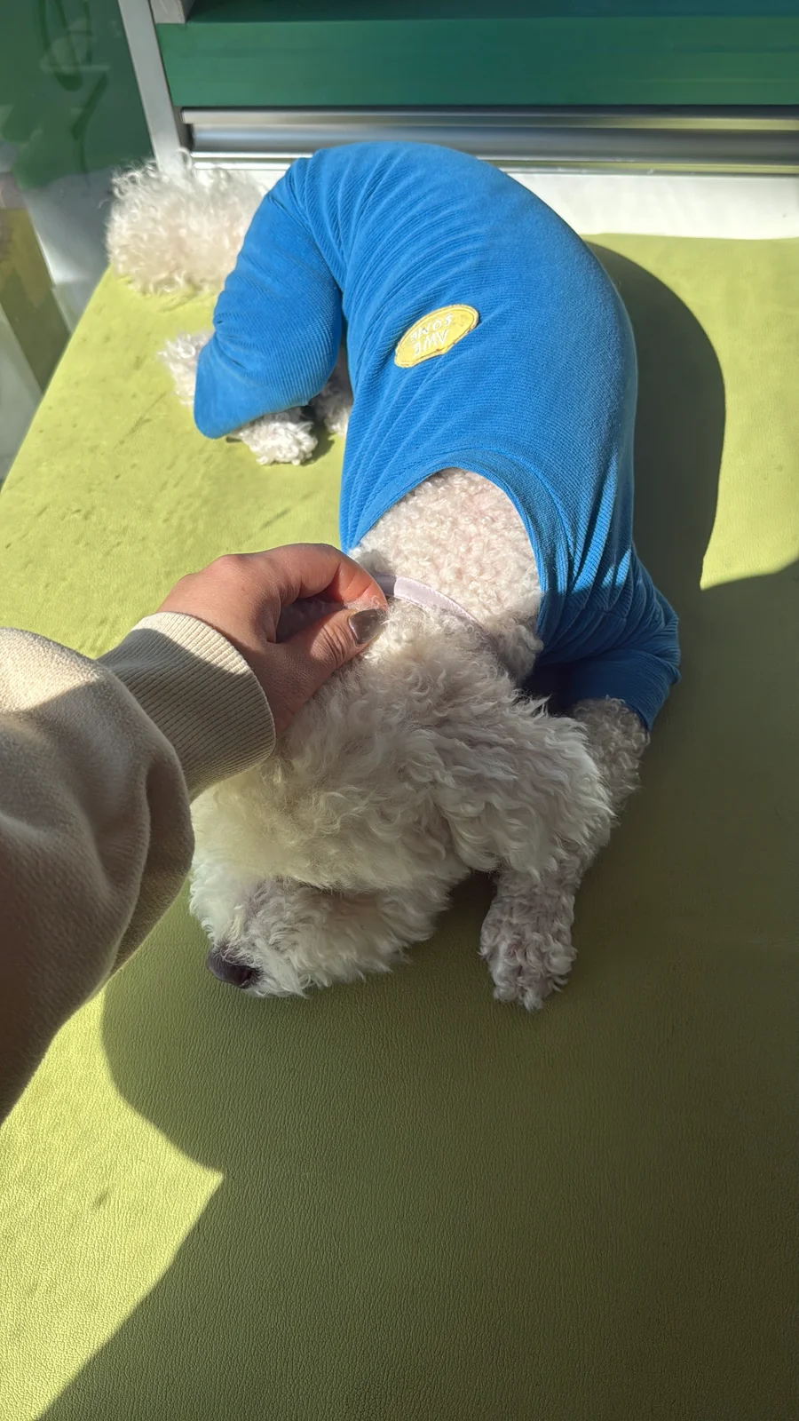 리뷰 사진 1