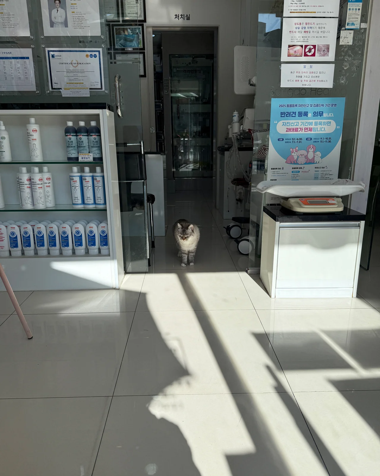 리뷰 사진 1