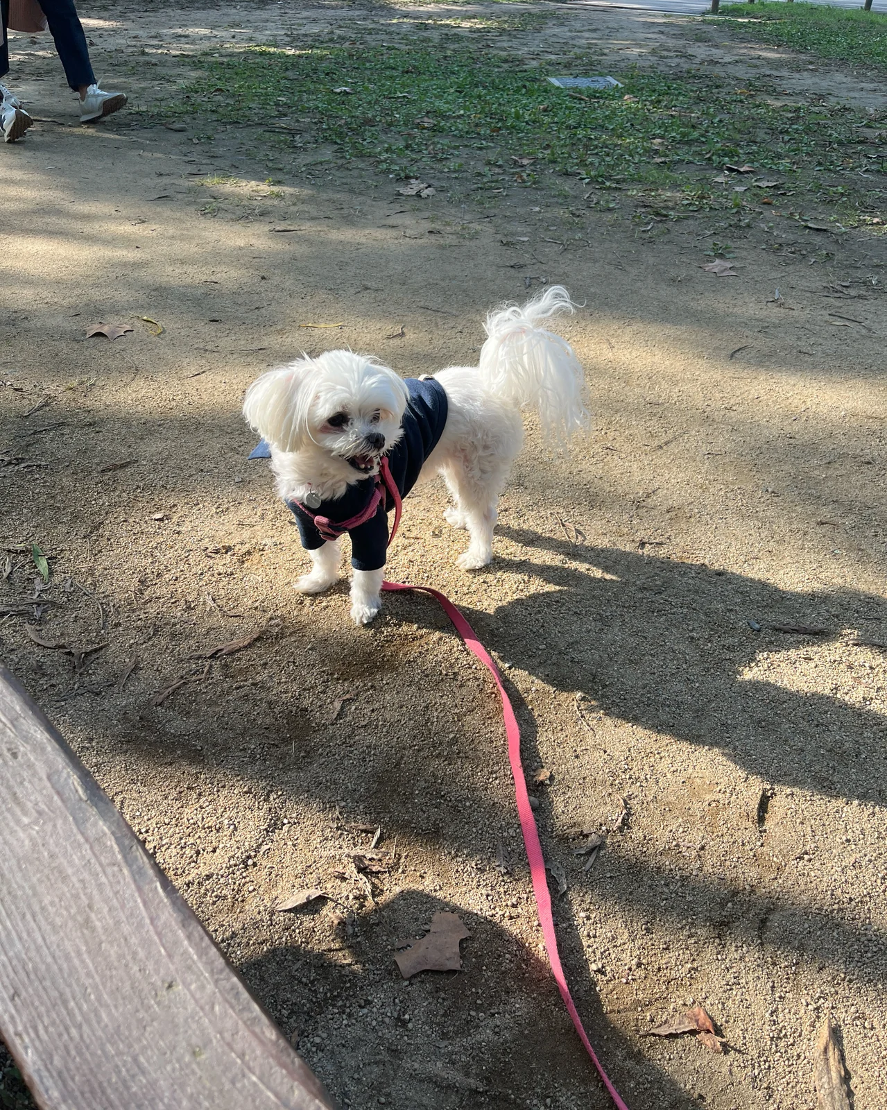 리뷰 사진 1
