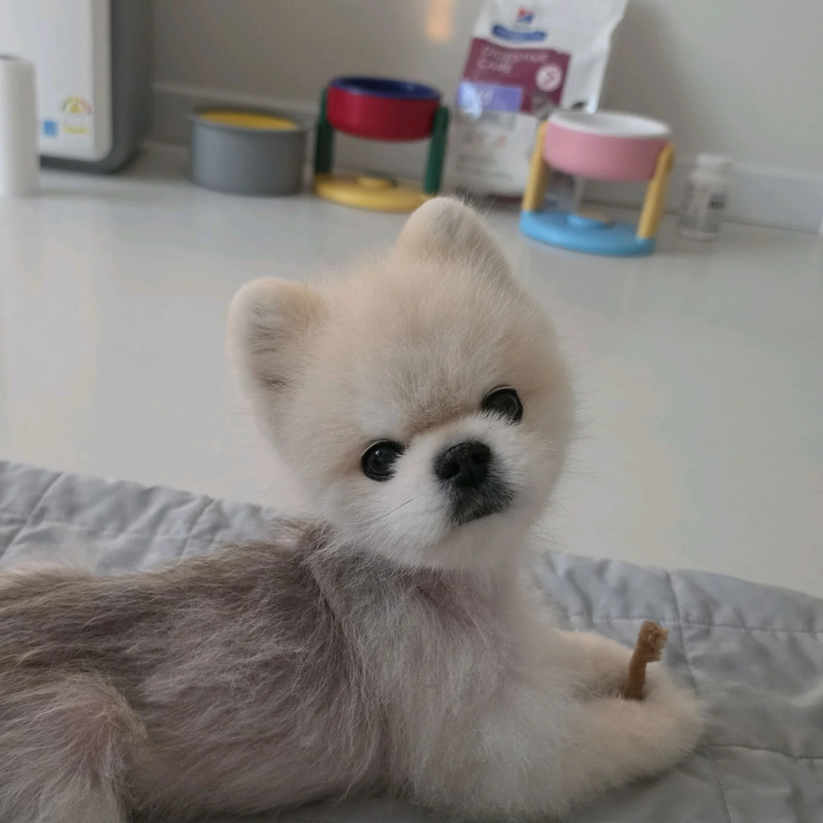 리뷰 사진 1