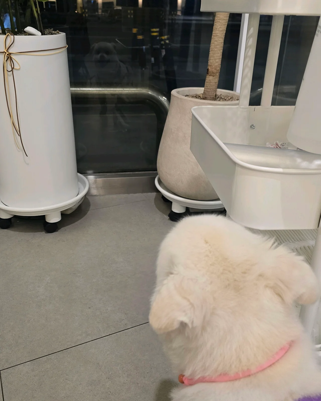 리뷰 사진 1