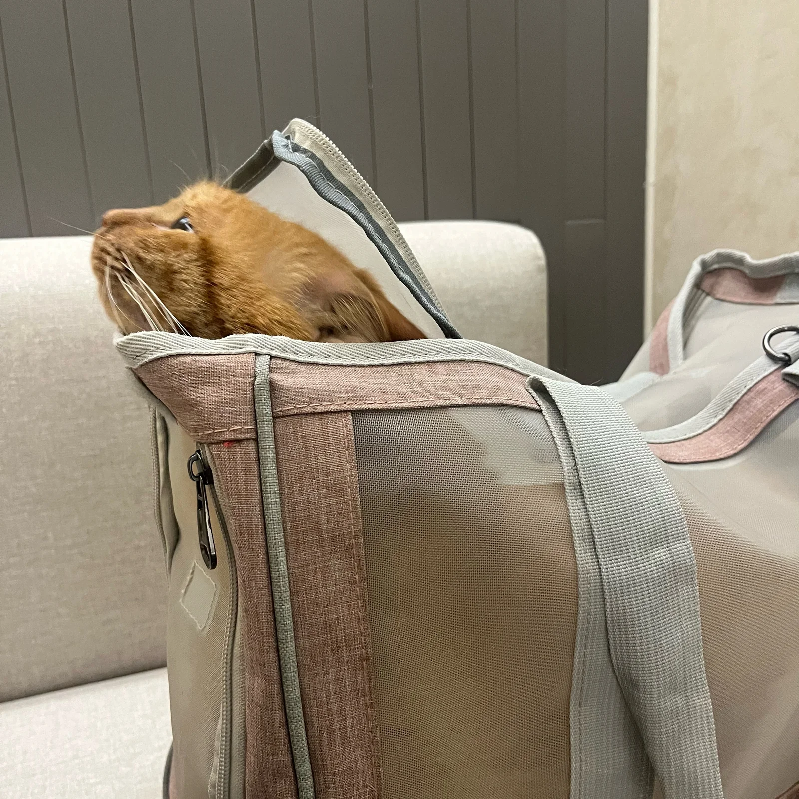 리뷰 사진 1