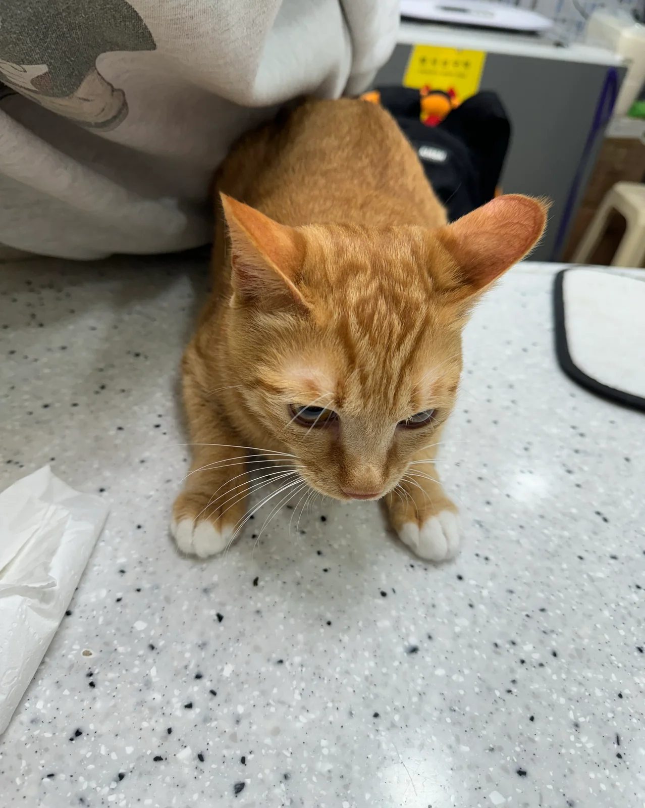 리뷰 사진 1