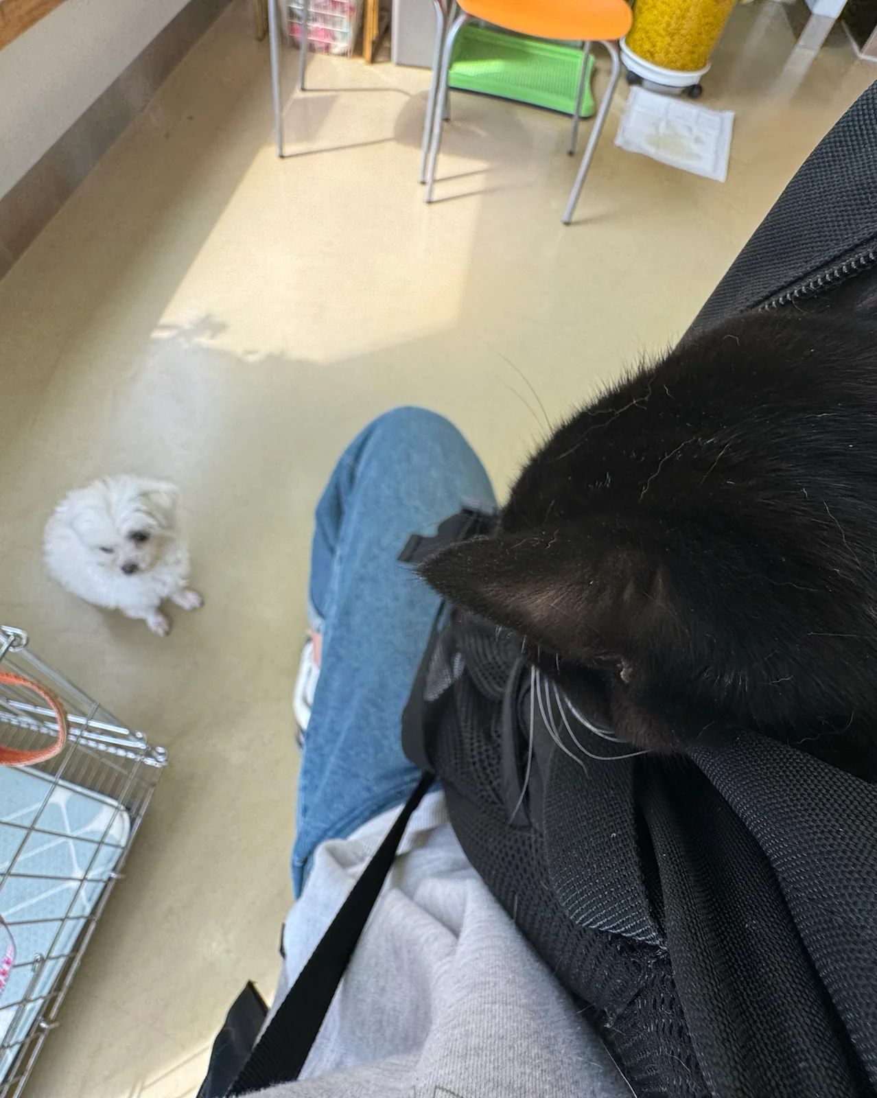 리뷰 사진 5