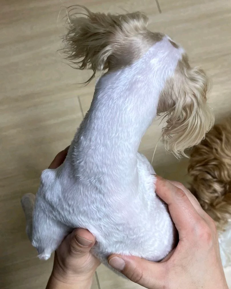 양지동물병원 사진 2