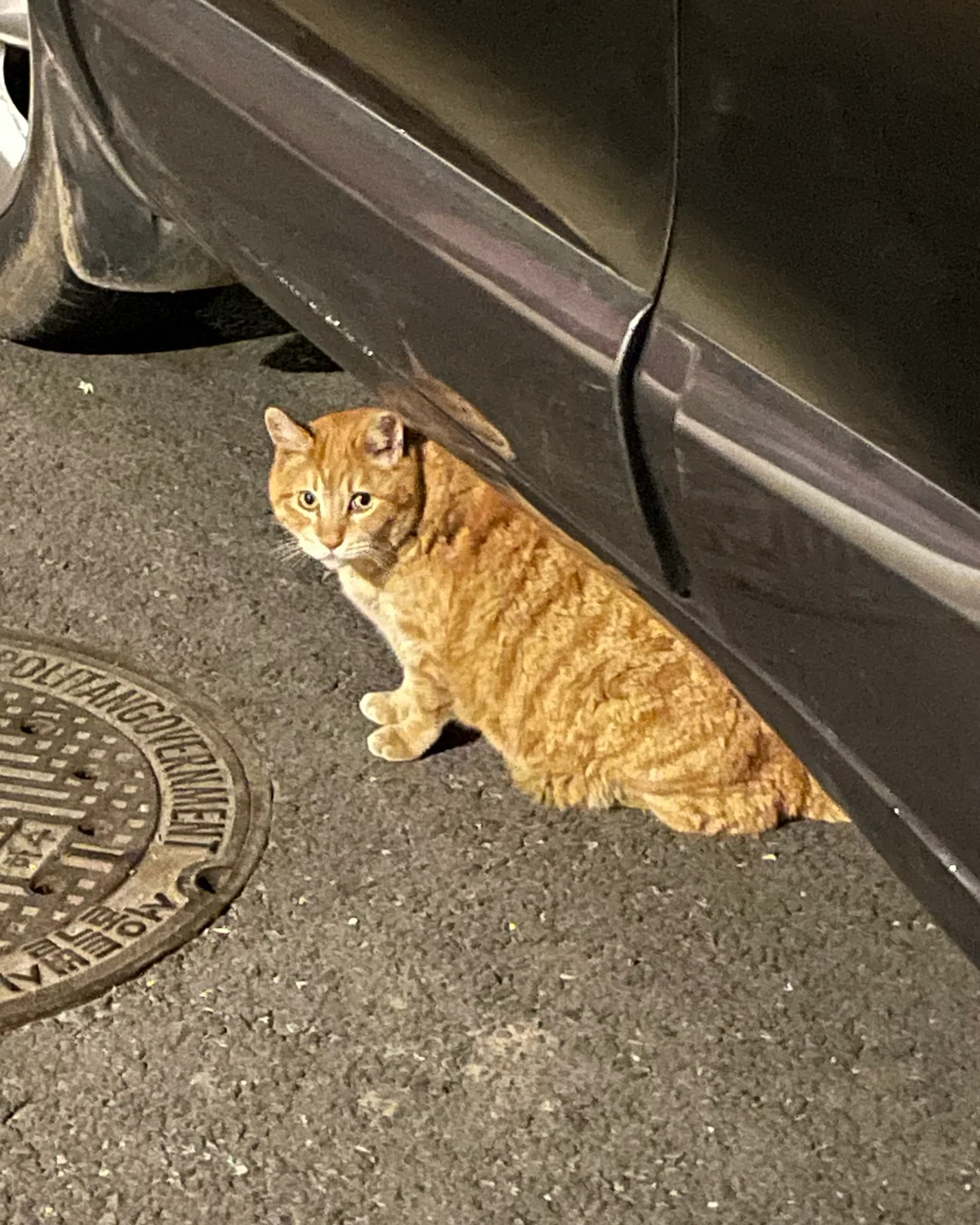 리뷰 사진 1