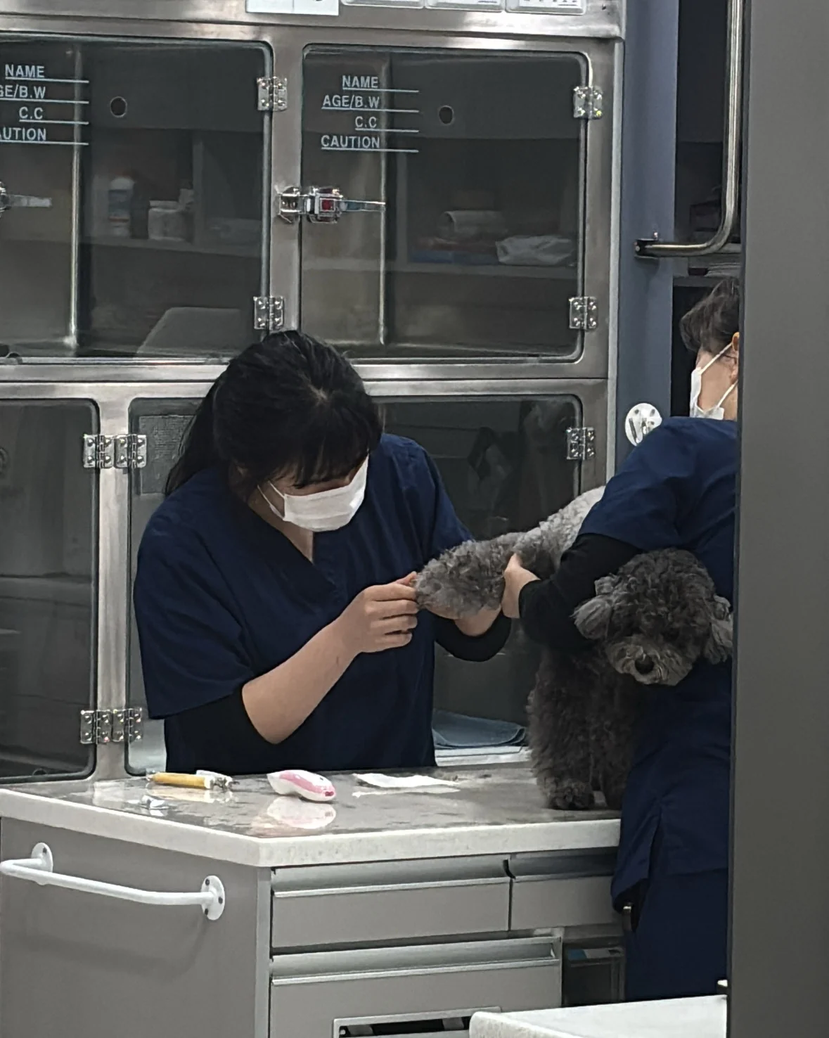 리뷰 사진 1