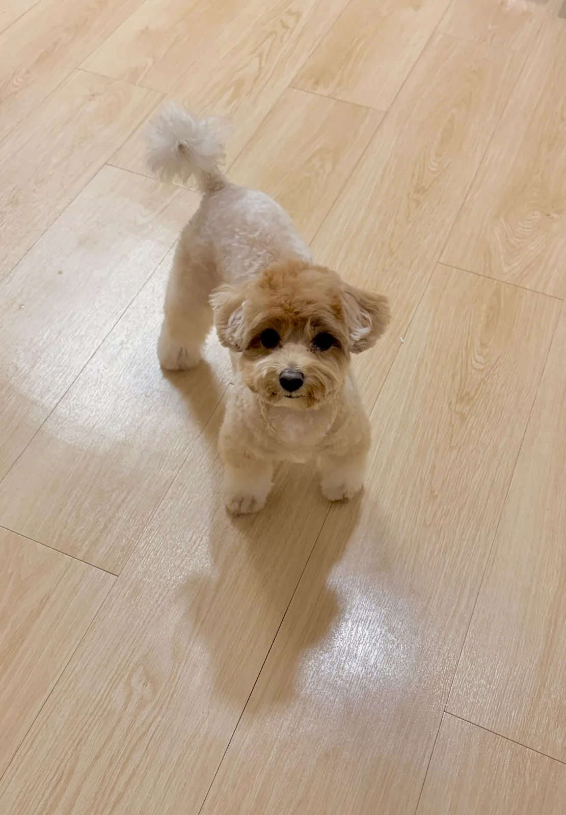 리뷰 사진 1