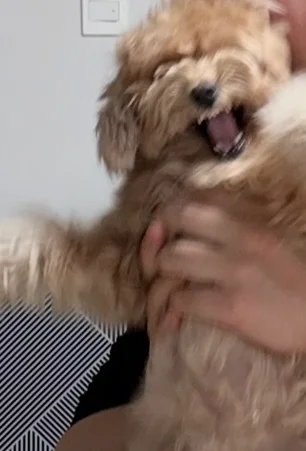 리뷰 사진 2