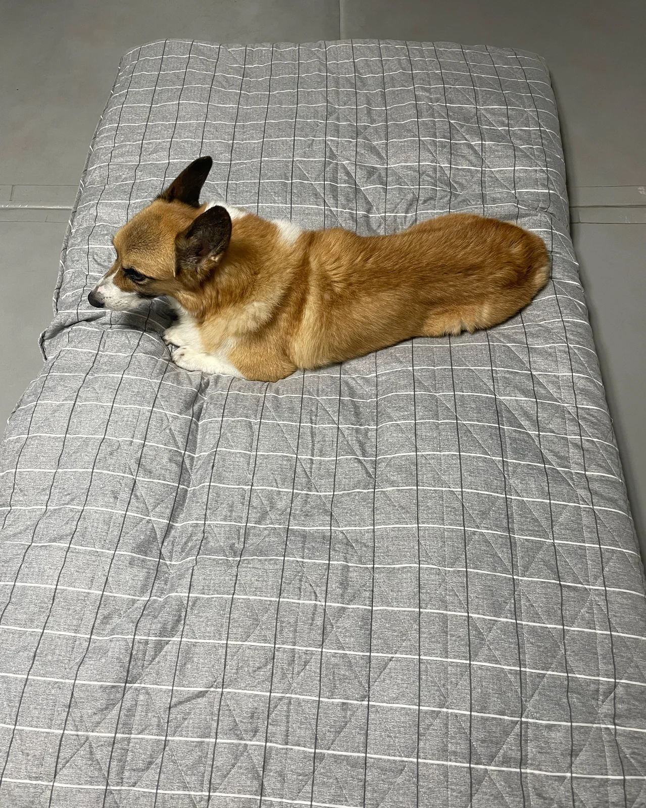 리뷰 사진 1