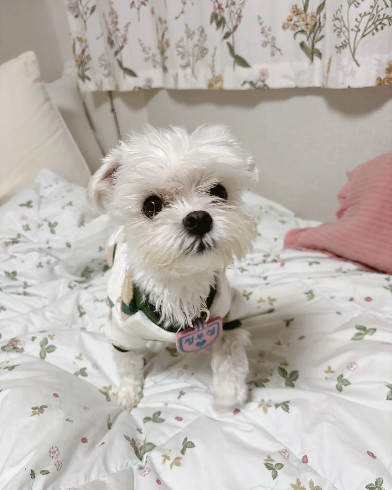 리뷰 사진 2