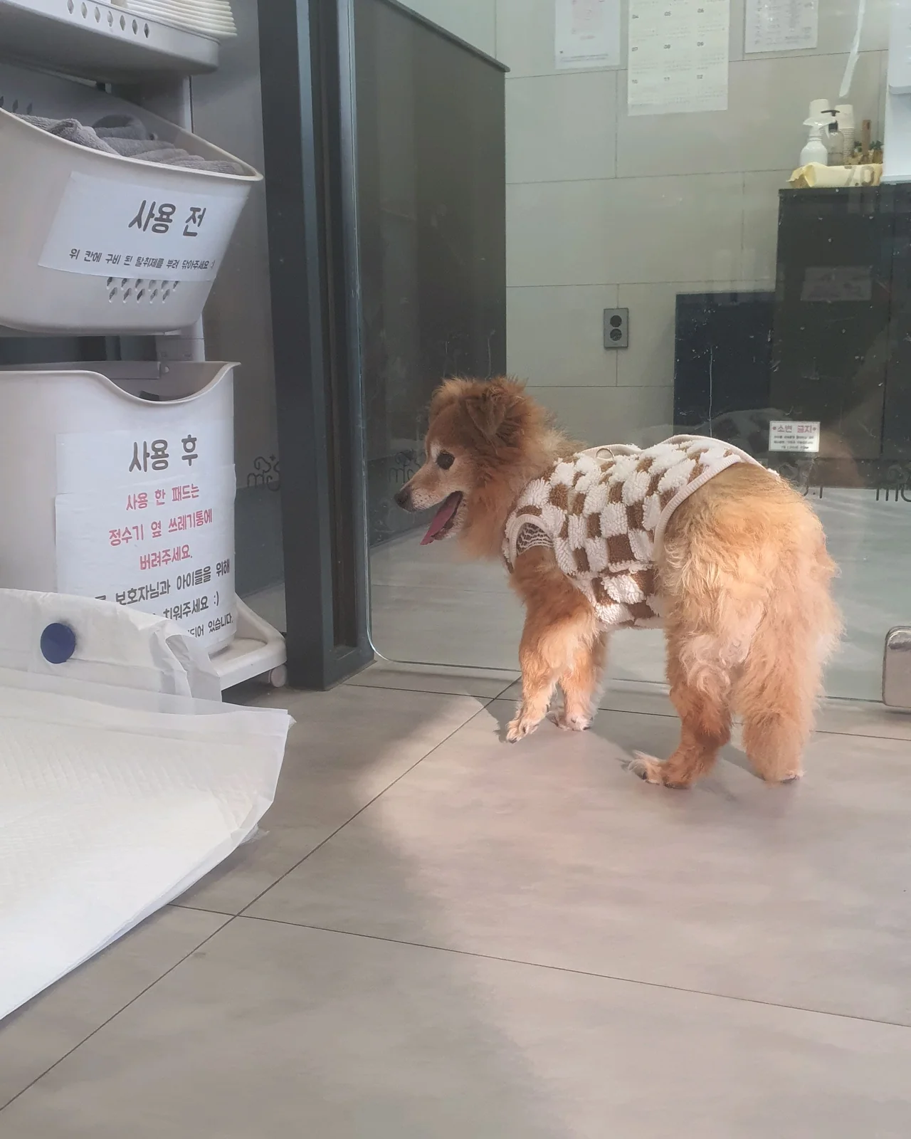 리뷰 사진 1
