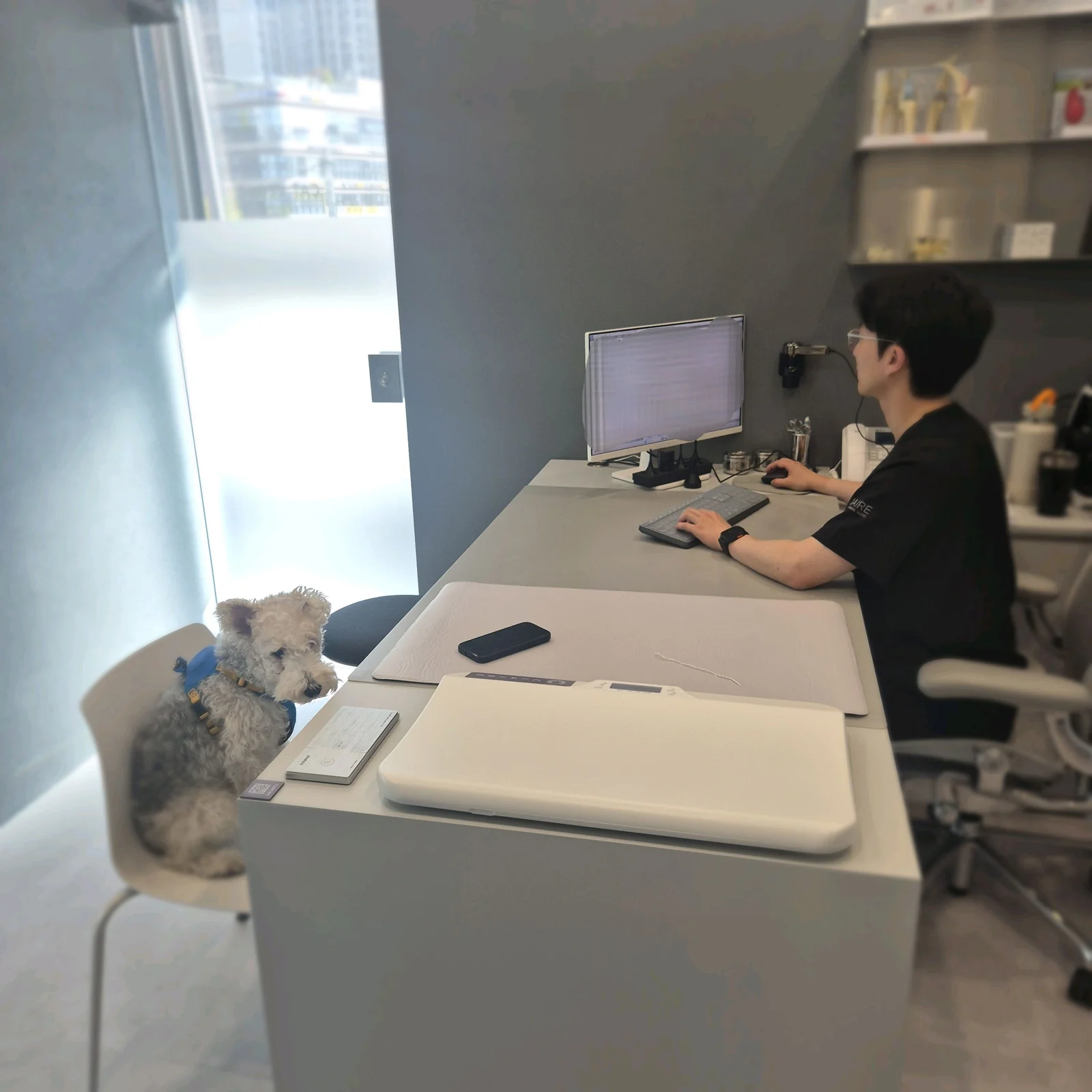 리뷰 사진 1