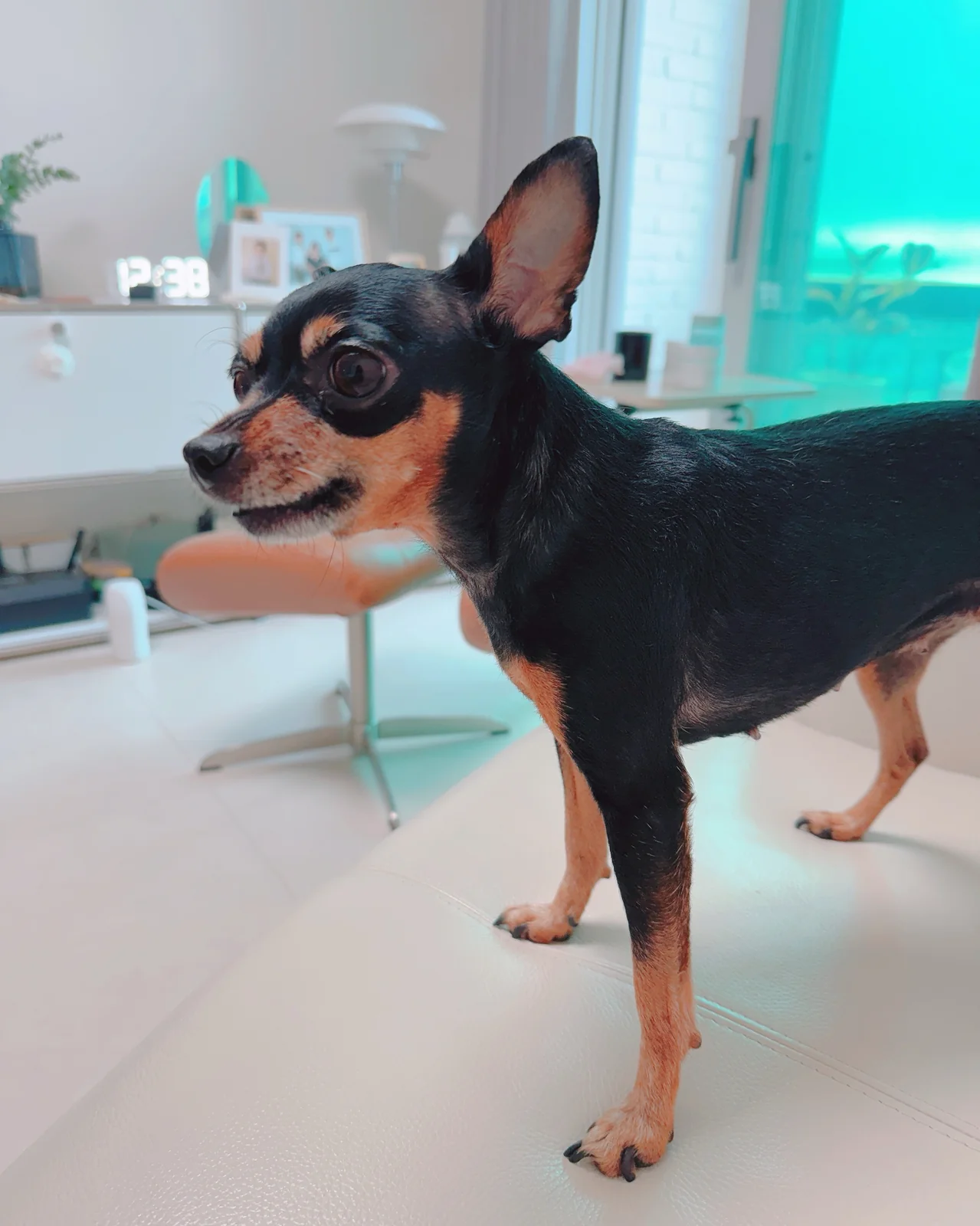 리뷰 사진 1