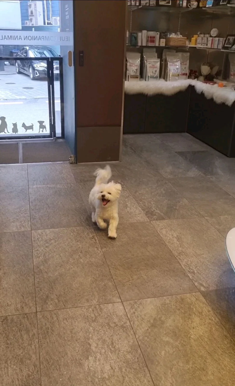 리뷰 사진 1