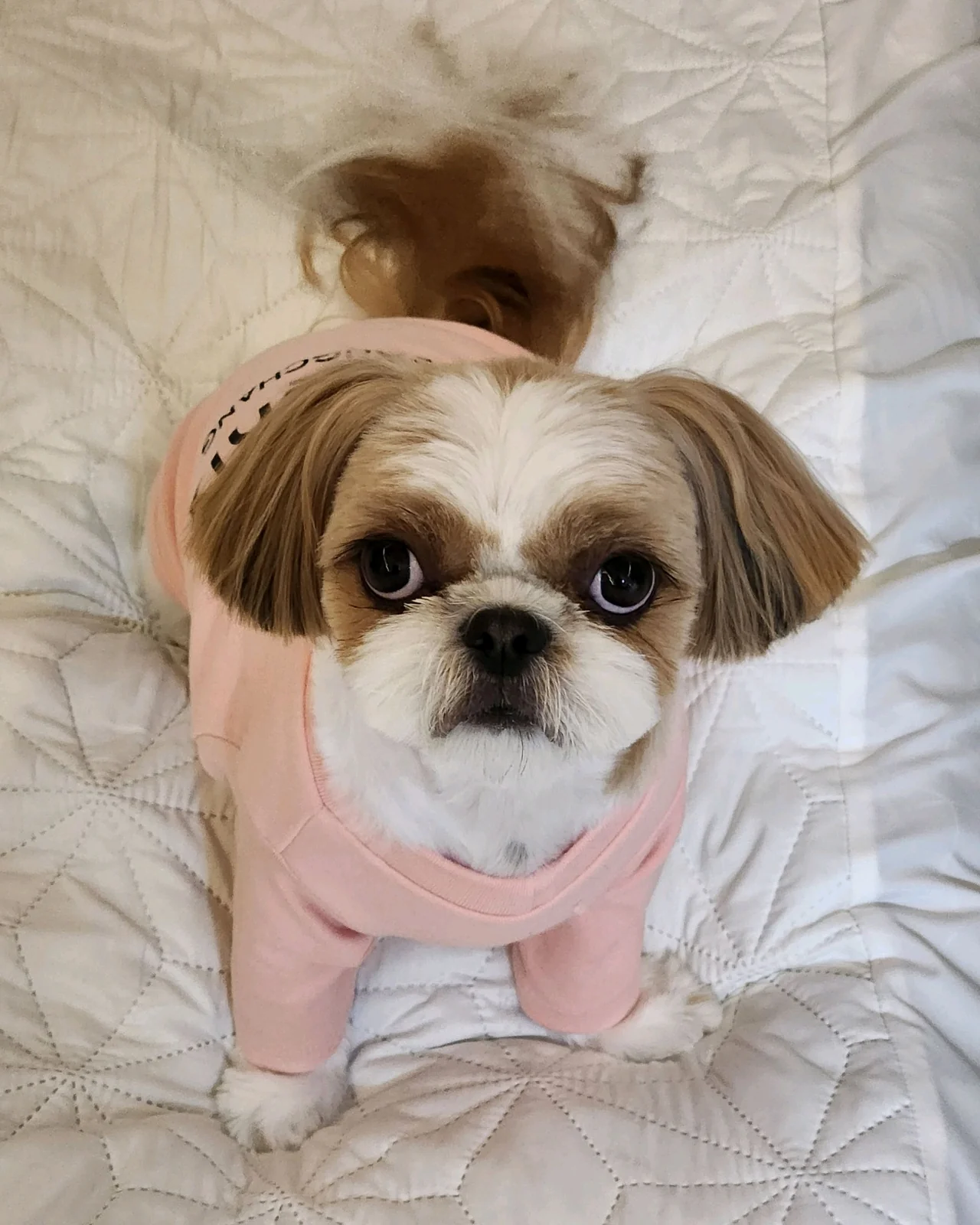 리뷰 사진 1