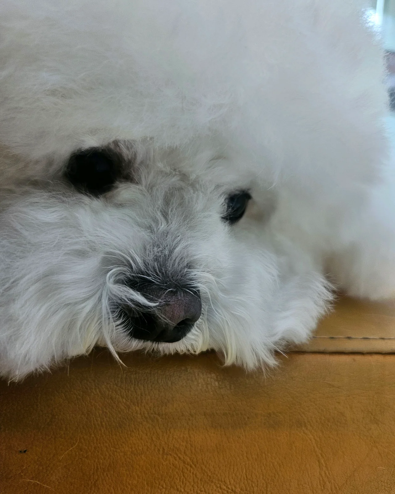 리뷰 사진 1