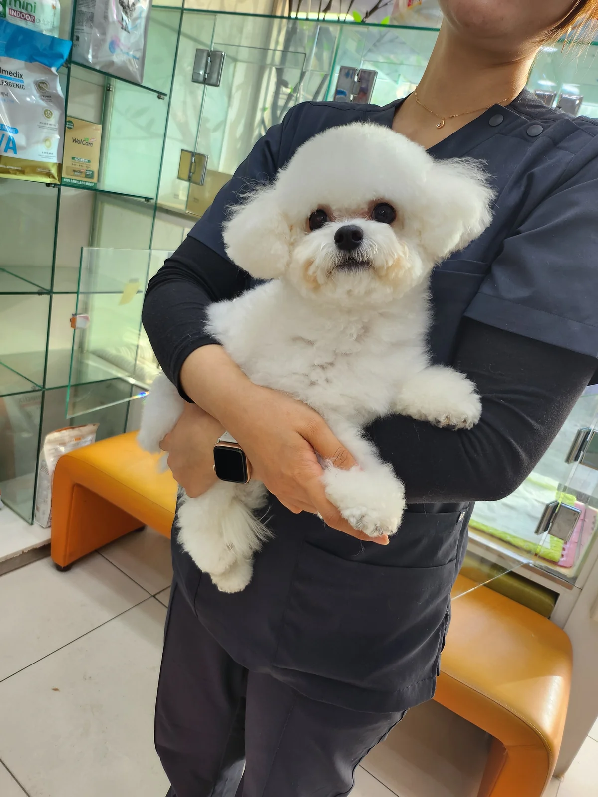 반포자이동물병원 사진 2