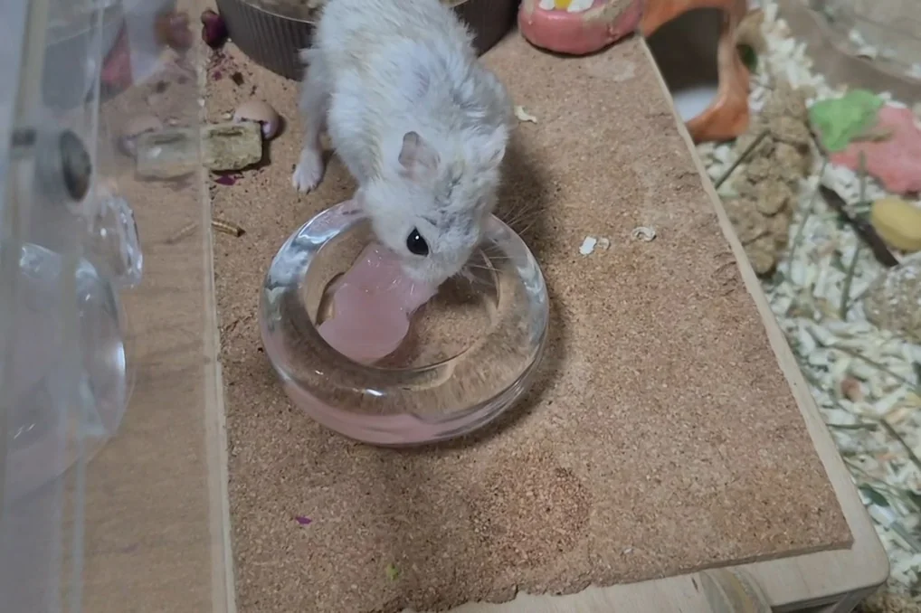 리뷰 사진 1