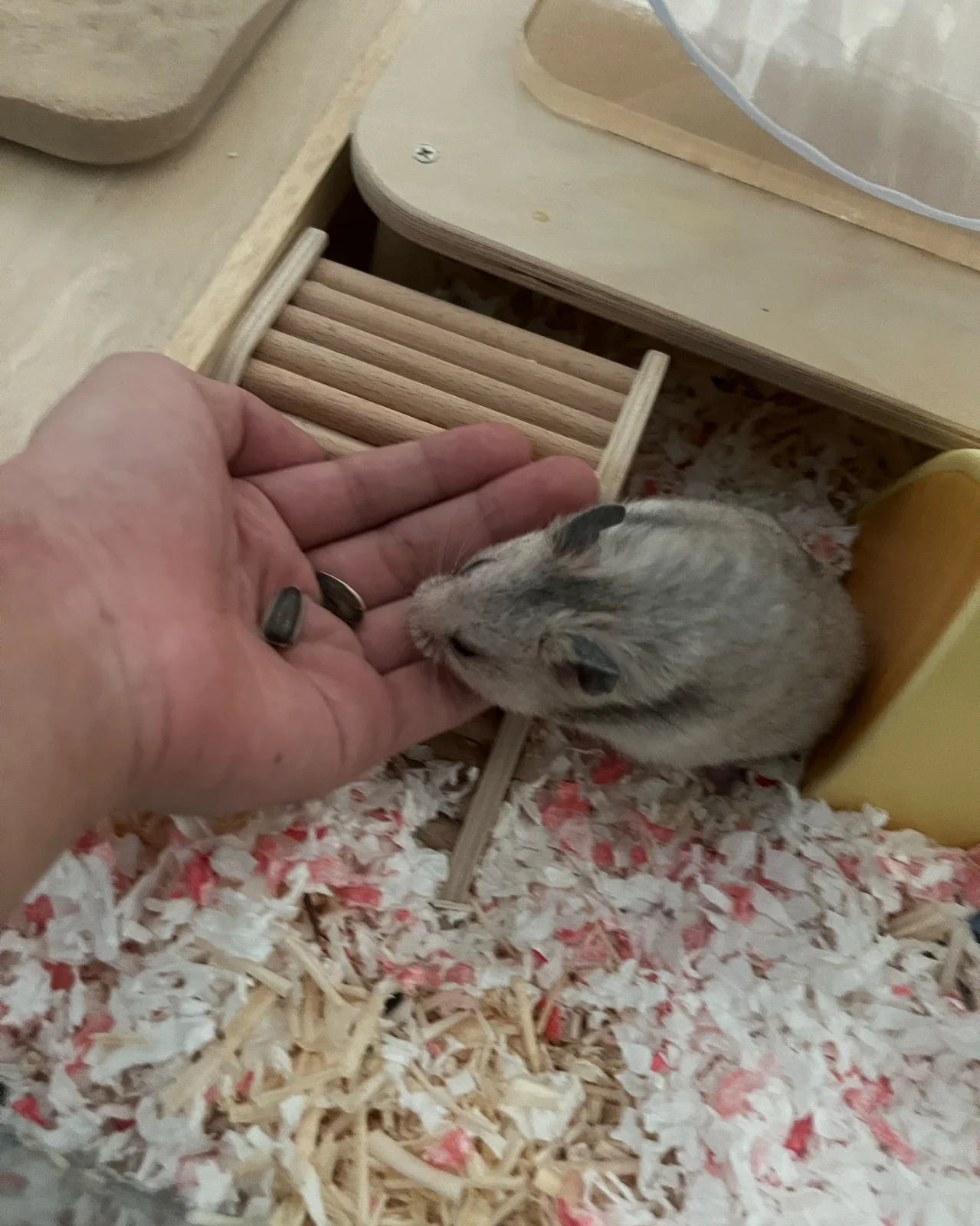 리뷰 사진 1