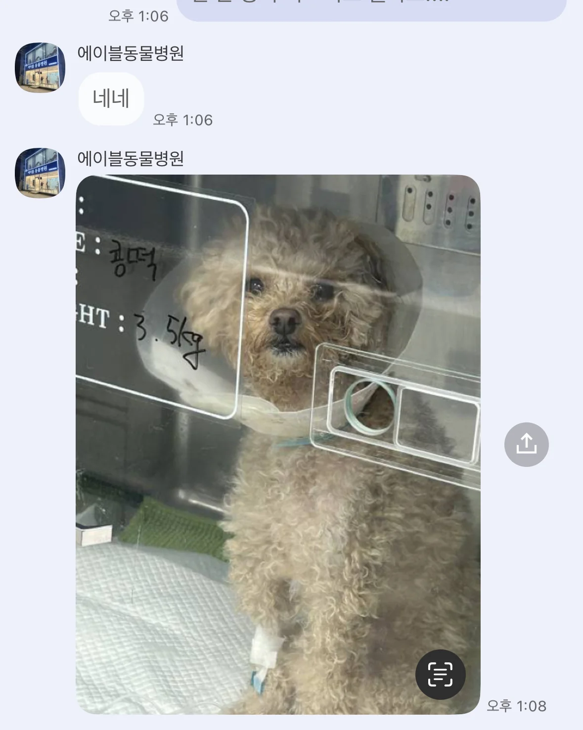 리뷰 사진 3