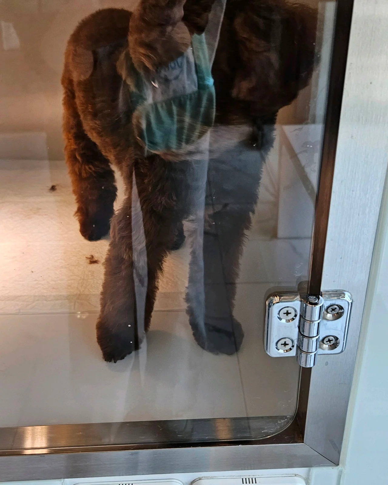 리뷰 사진 2