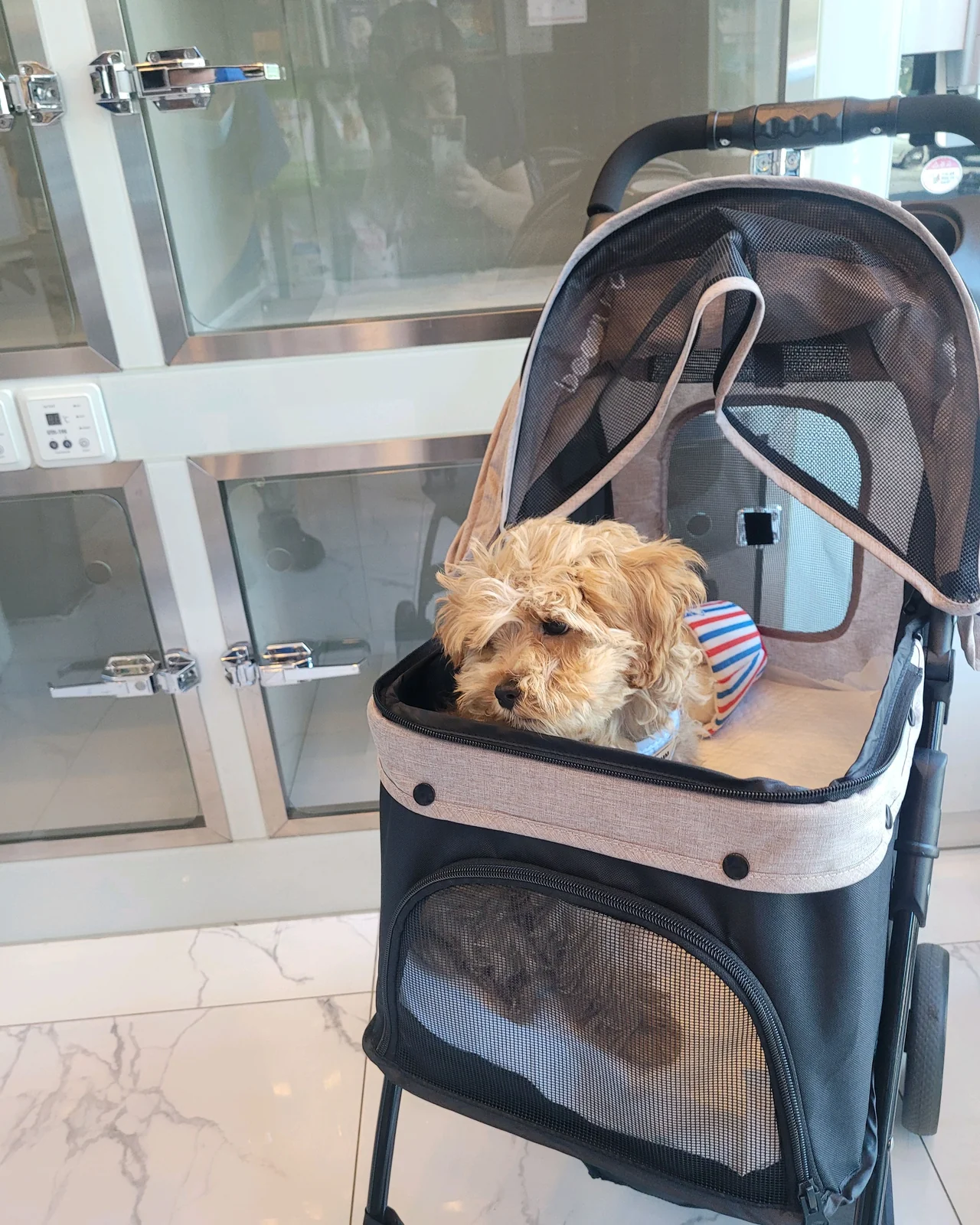 리뷰 사진 2