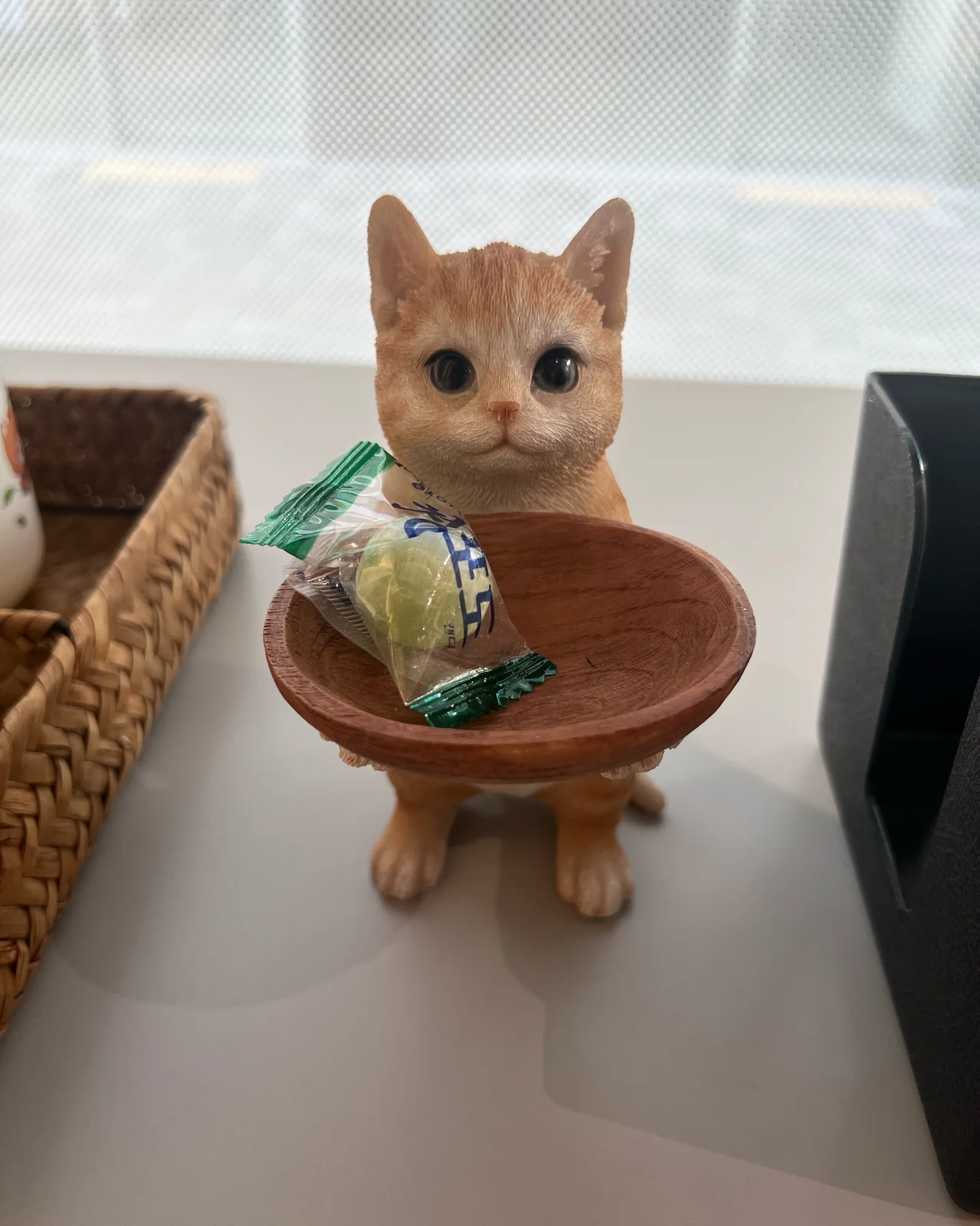 리뷰 사진 2