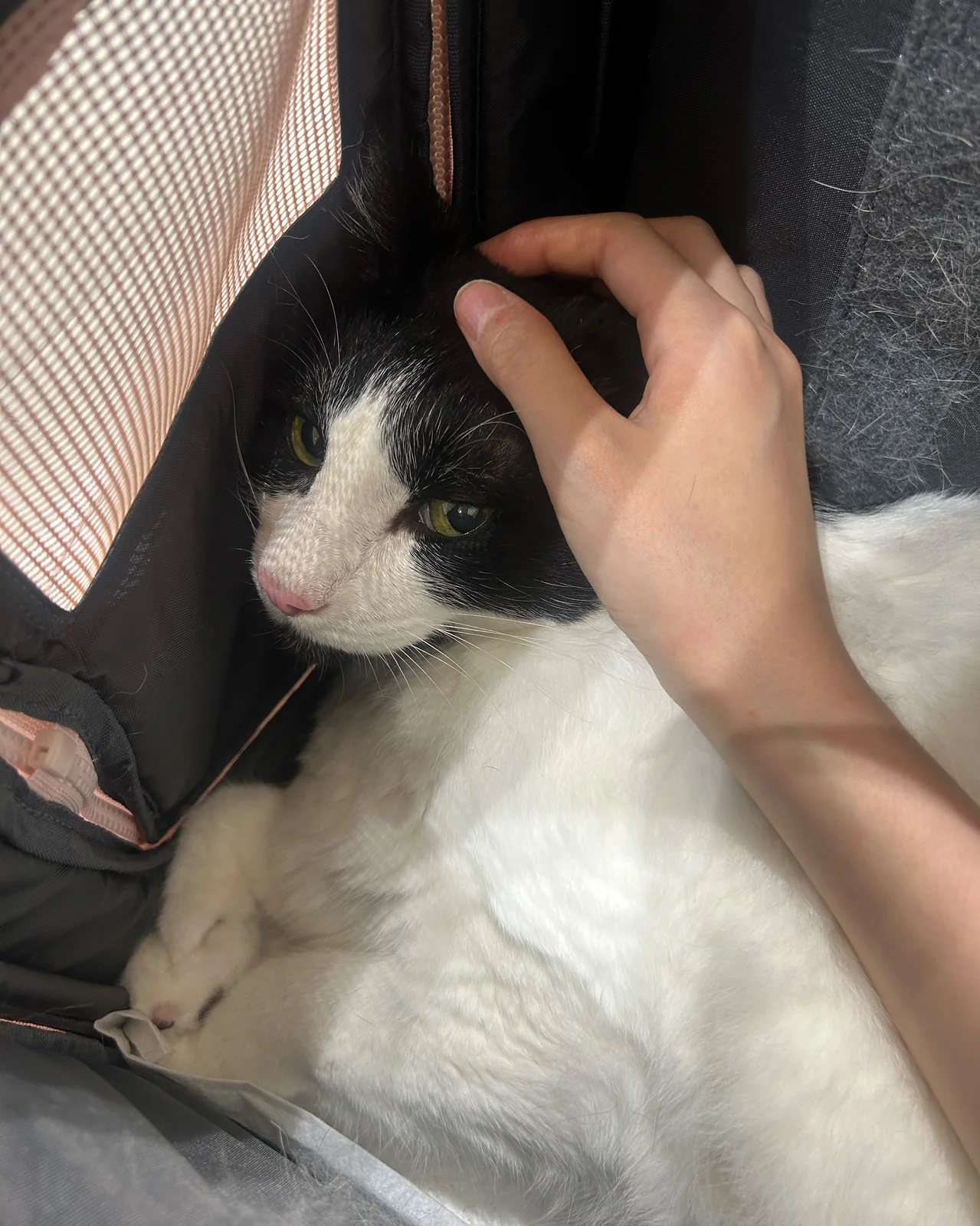 리뷰 사진 1