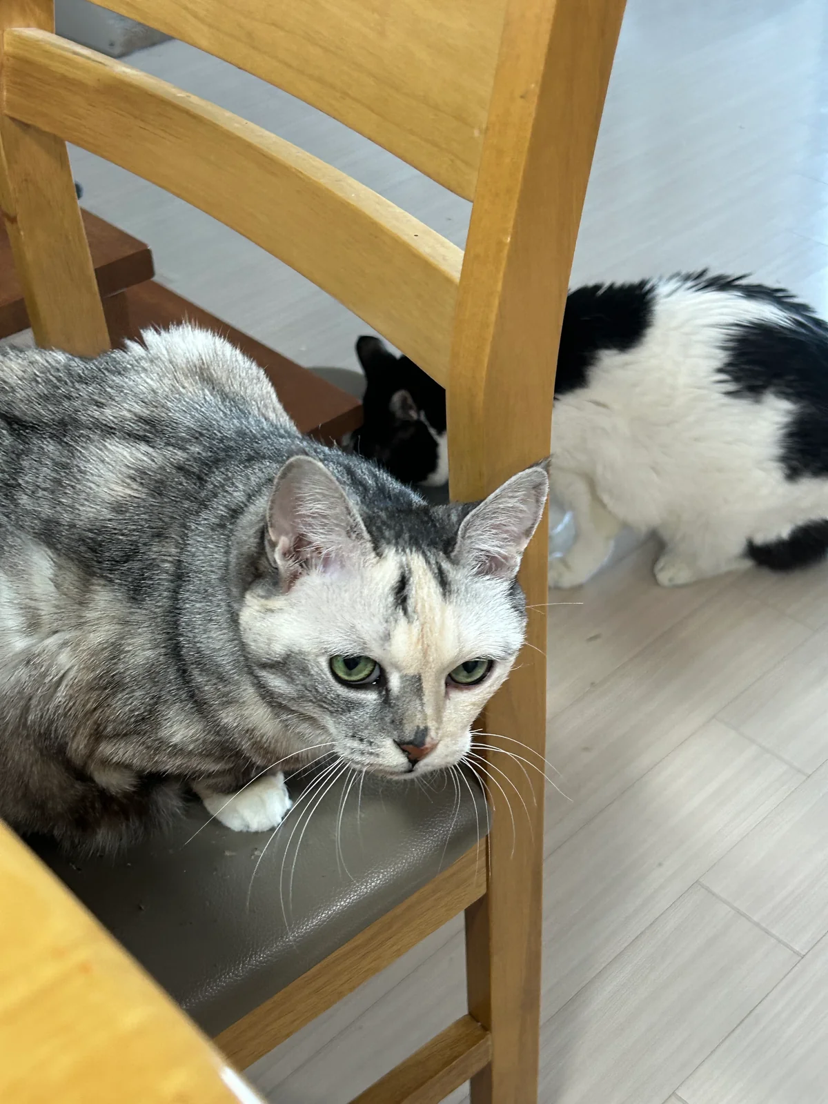 리뷰 사진 2