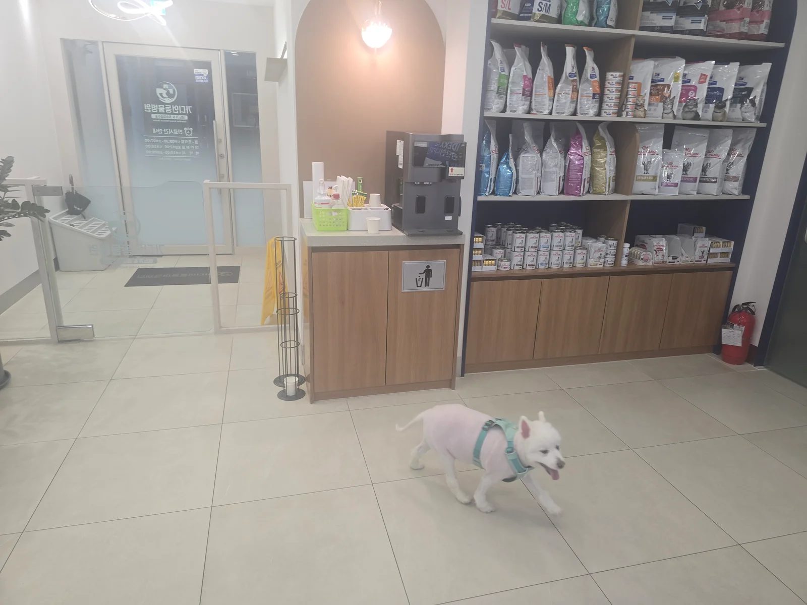 리뷰 사진 1