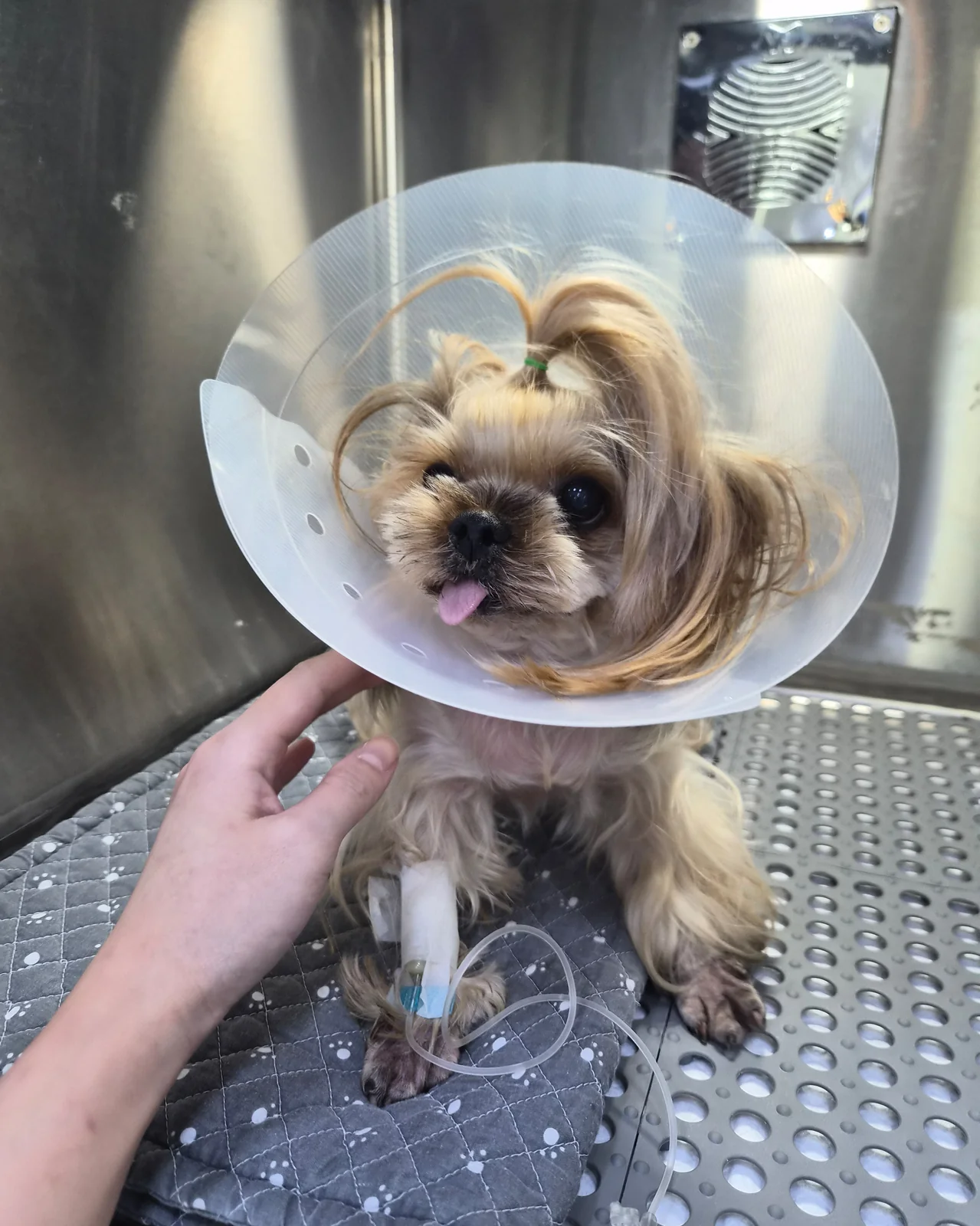 리뷰 사진 3